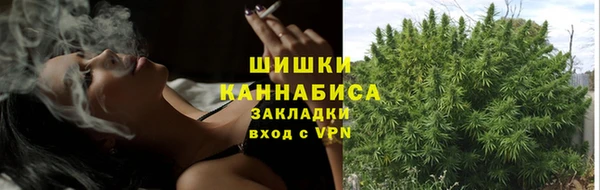 твердый Белоозёрский
