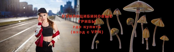 твердый Белоозёрский