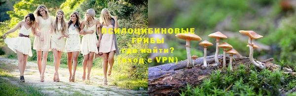 гидропоника Снежногорск