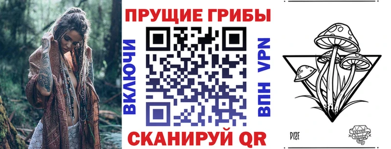 Галлюциногенные грибы Psilocybe Горнозаводск